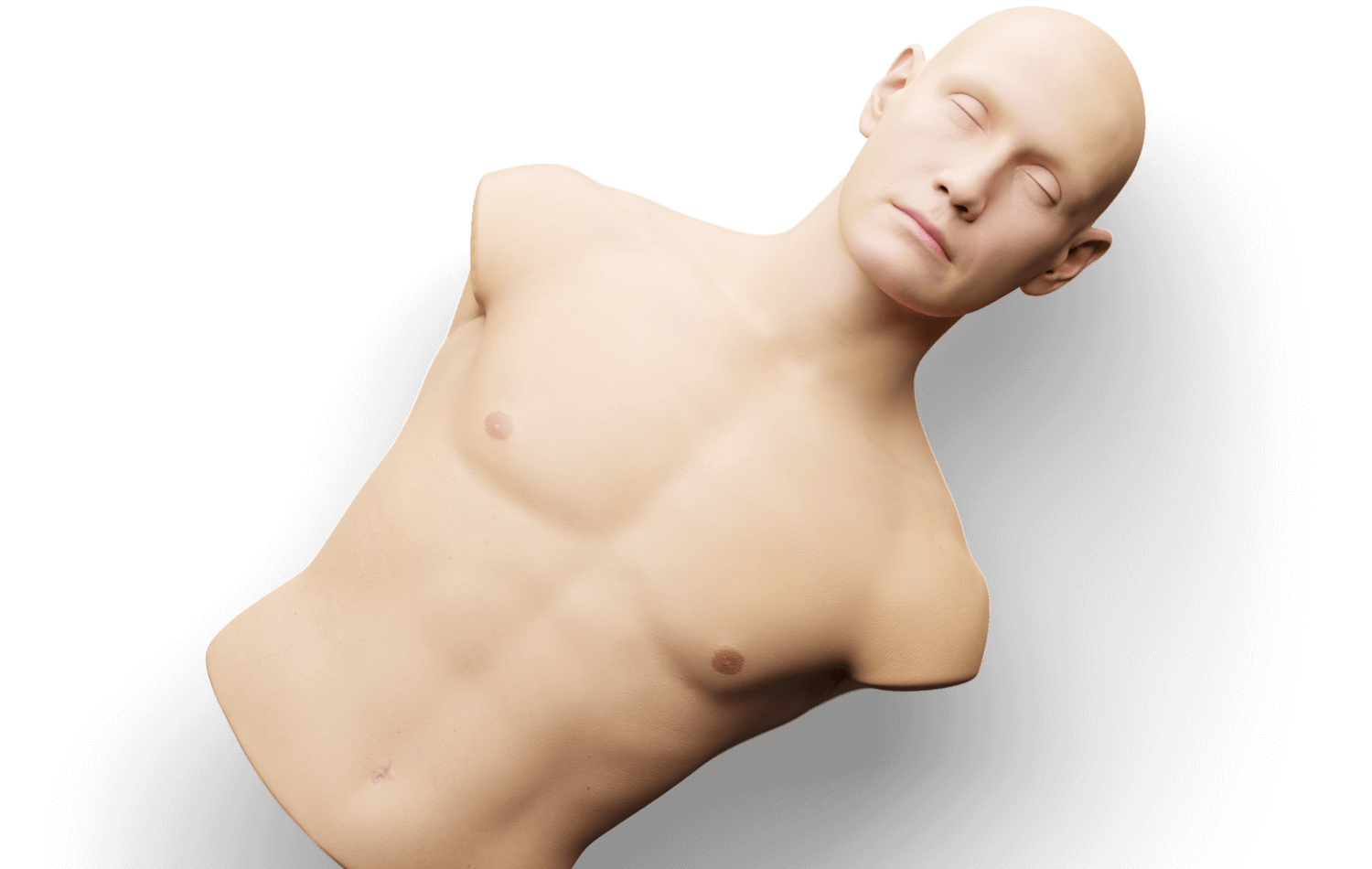 Fantom BHP Sector
